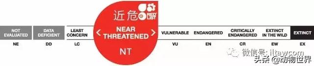 企鹅都有哪几种分别生活在哪里呢，企鹅都有哪些（详解世界上的18种企鹅<一>）