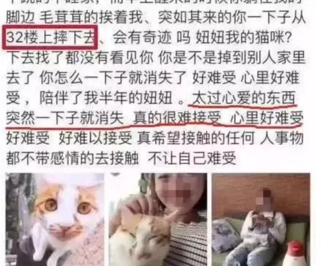 一猫穷二猫富三猫四猫五猫，猫生崽一贵二贱三笨四抬轿（宠物产业的江湖：养五只猫）