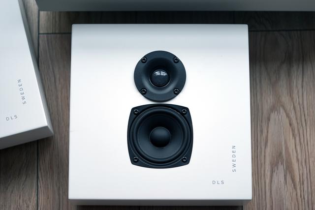 dls是什么意思，Flatmini