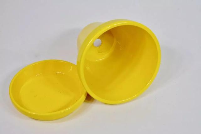 薄荷盆栽怎么弄，薄荷怎么做盆栽（买来的小薄荷盆栽快速长满一盆）