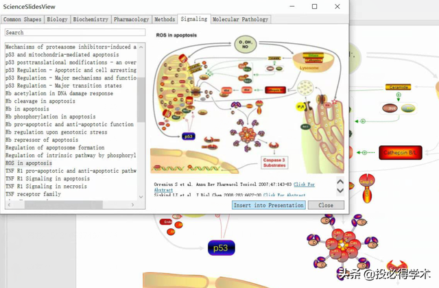 ppt绘图工具在哪里，ppt绘图工具在哪里打开（这款强大的PPT通路图绘制插件来了）