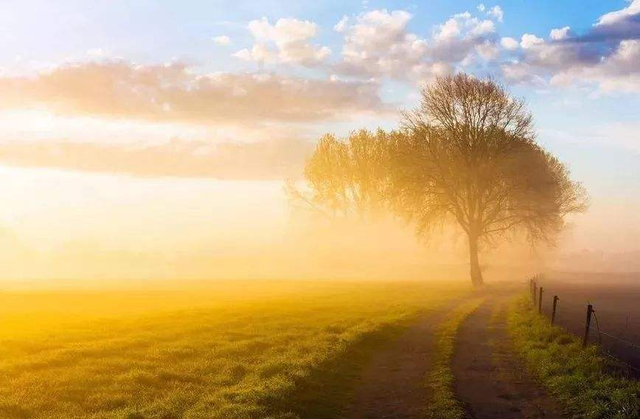 北岛诗选！，北岛诗选下载（《北岛诗集》：特立独行的诗歌）