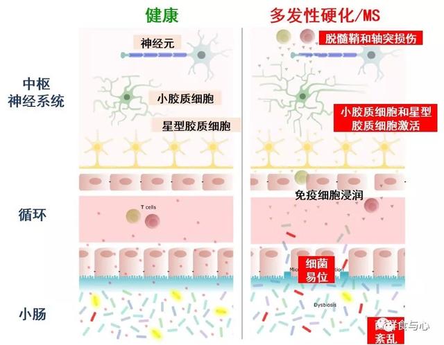 sfb是什么意思，sfnb是什么意思（你必须知道的热知识<二>）