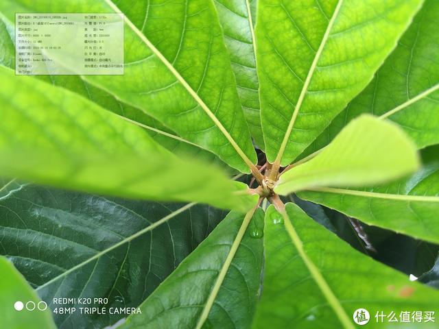 红米k20pro屏幕（请取下有色眼镜来看Redmi）