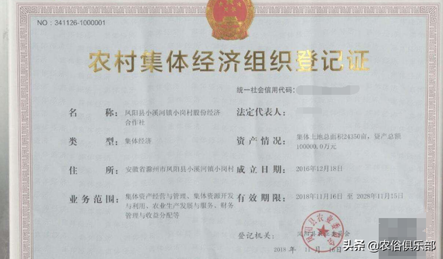 农村集体经济组织股权证什么意思，农村集体股权证是什么意思（农村集体经济组织股权证是什么）