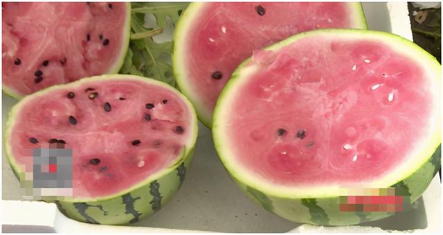 甘美4k西瓜产地哪里，云南甘美4k西瓜好吃吗（市场上哪种西瓜口感是很TOP的）
