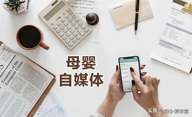 母婴自媒体怎么做平台，母婴自媒体怎么做平台赚钱？
