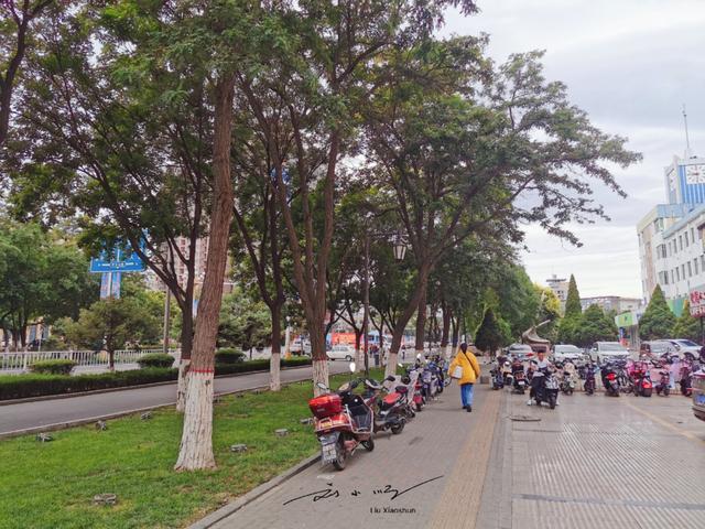 石嘴山是在哪个省，石嘴山是在哪个省的城市（GDP只有首府零头）