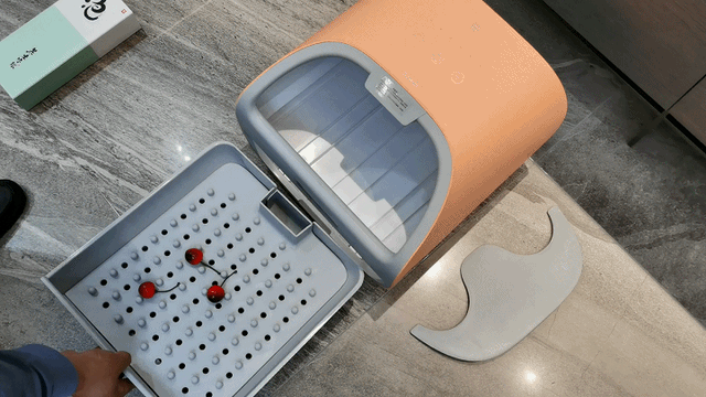 蒸脚可以天天蒸吗，一天中熏蒸的最佳时间（左点小仙智能足蒸器赛仙气）