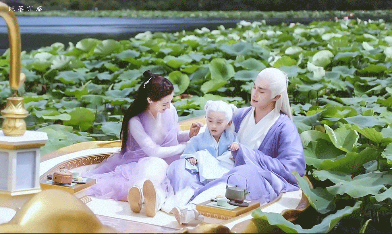 枕上书凤九嫁给苍夷神君了吗，枕上书凤九和帝君在一起了吗（《枕上书》大结局删减惹非议）