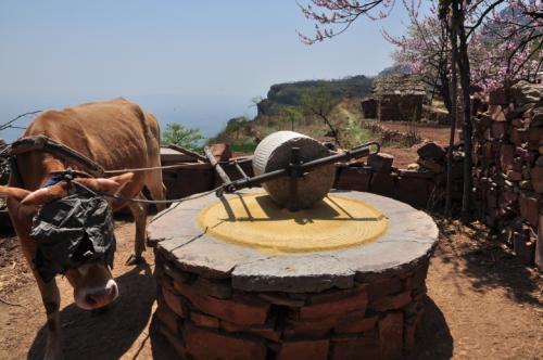 (牛拉磨)(11)陈迹.《增韵·脂韵》:"遗,陈迹也."比如:红山文化遗留.