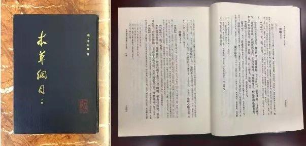 红曲米是什么，红曲米是什么植物长出来的（红曲，原来是这样的存在）