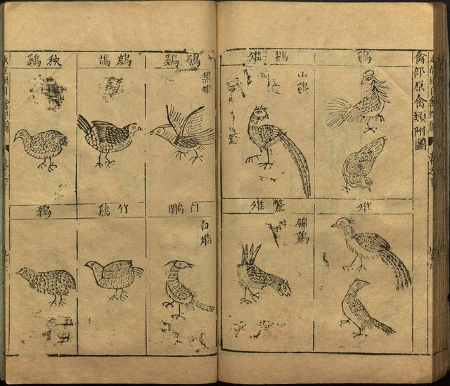 本草纲目全书带图，李时珍本草纲目全书（李时珍著《本草纲目》附图卷）