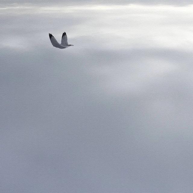 空间相册封面图片，相册图片 封面（未来很长，爱你的人，正在路上）