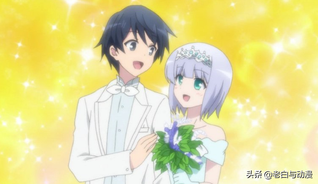 望月冬夜9个妻子介绍，望月冬夜的九个妻子都有谁（9个老婆酸死我了）