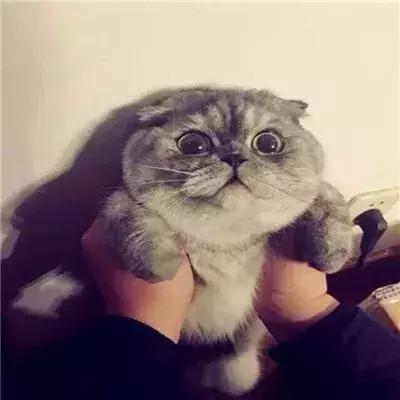 把昨天都作废…，微信头像，把昨天都作废…（壁纸，个性微信头像）