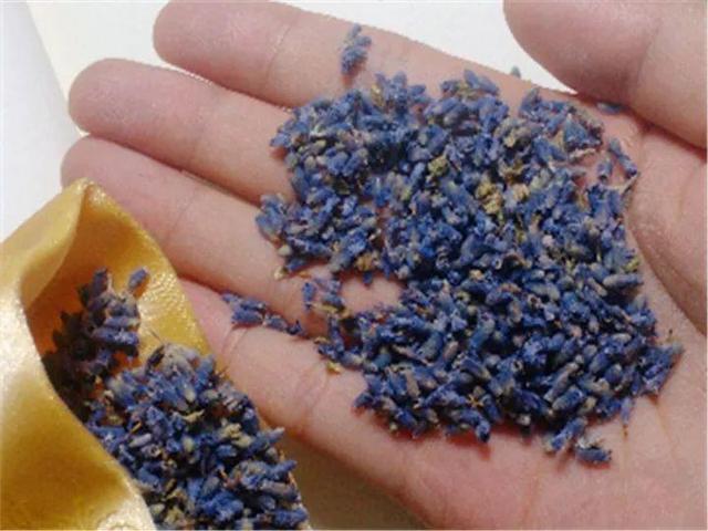 不锈钢盆可以放烤箱吗，烤箱里可以放不锈钢盆吗（10种花最养人）