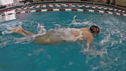 简单蝶泳练习方法，蝶泳教学步骤（揪出错误根源，对症下药）