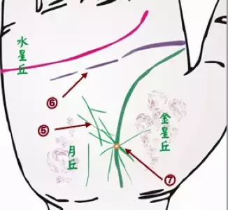 掌纹诊病实用图谱，看看你的掌纹：预示者不同疾病（可以诊断肝癌、糖尿病、高血压、妇科病、脑溢血）