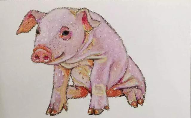 猪头简笔画怎么画，让我们一起学一下小猪简笔画吧