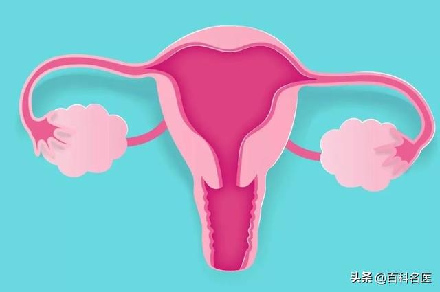 女生有小胡子怎么永久去掉，女生的小胡子怎么去掉（有4种方法可以解决这个困扰）