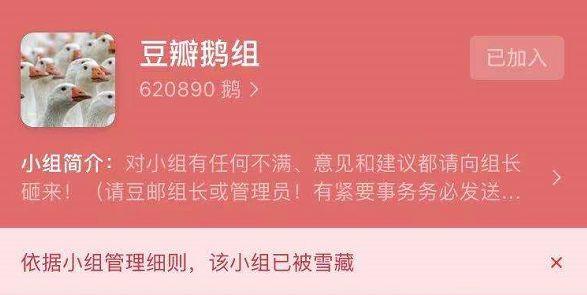 豆瓣小组被雪藏是什么意思，豆瓣鹅组等（真正值得惋惜的是什么）