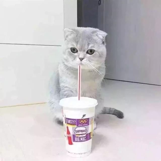 情头，兄弟头我觉着都可，微信头像，情头，兄弟头我觉着都可（我一人承受不来，好兄弟）