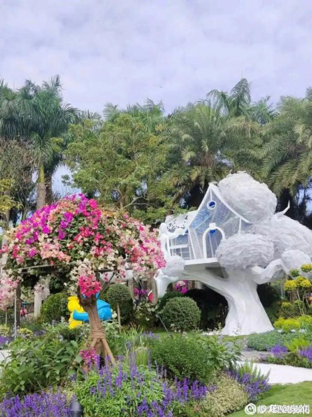 荷花有几种颜色，莲花有几种颜色分别是象征什么（1盆菊花售价1.2万）