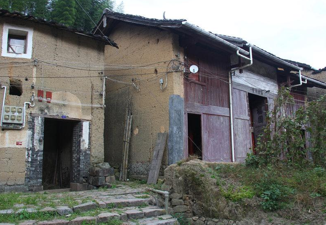 阳气最强的树是什么树 有哪些种类，阳气最强的树是什么树（老祖宗忠告：“门前种三树）