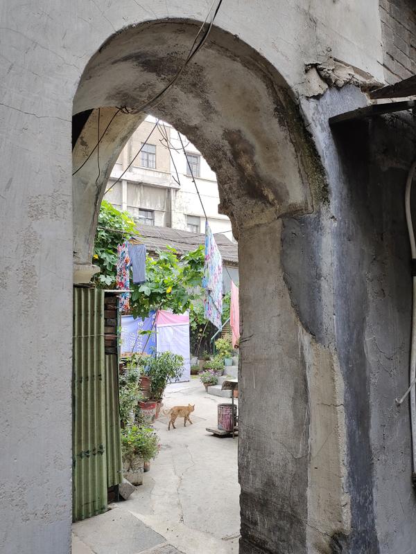 济南老城区在哪个位置，济南老城区有哪些景点（济南这个老城区坐落着多处民国时期老建筑）