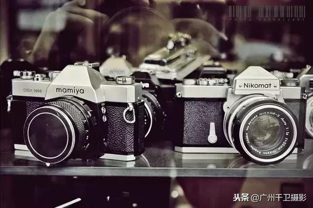 一种紫边碧玉的养殖方法，碧玉植物如何养殖（整理最常见的一些摄影词汇解释）