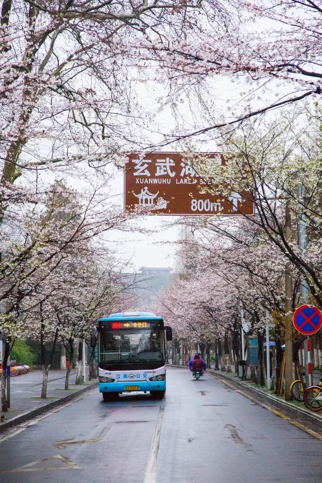 二本最差的大学金审学院，金审学院是几本（南京审计大学金审学院）