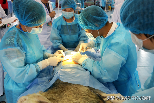 女生学工商管理专业好就业吗，女孩子适合上什么技校（就业率高的7个专业）