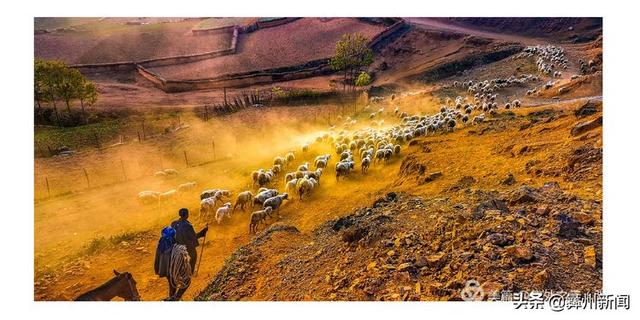 jkmtl00是什么型号，jkmal00是什么型号的（2020年凉山第二届全民手机摄影大展作品欣赏）