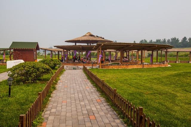 北京蓝调薰衣草庄园，北京薰衣草庄园（北京的蓝调薰衣草庄园就能狠狠浪漫一把）