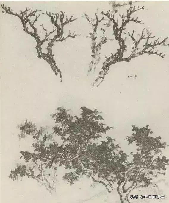 大树怎么画，大树怎么画的特别好看（缠枝、挺杆、屈节、钮裂、一棵树如何画）