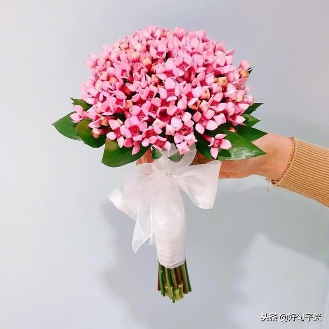 表达爱意的句子，楚辞中表达爱情的句子（适合发朋友圈最好听的情话）