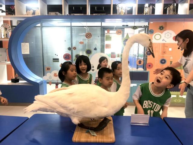 石家庄外国语幼儿园，石家庄幼儿师范高等专科学校宿舍条件怎么样宿舍图片内景（“我太想上小学啦~！”）