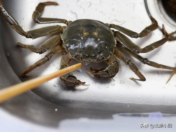 公螃蟹和母螃蟹的区别，公螃蟹和母螃蟹哪个好吃（公蟹和母蟹区别大；牢记3买3不买）