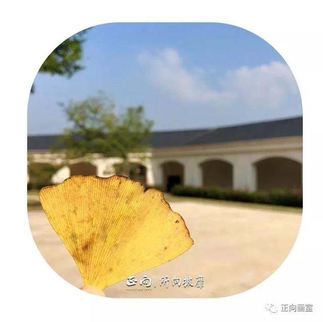 武汉大学艺术学院，武汉大学的音乐学院怎末样（武汉大学2019年艺术类招生简章）