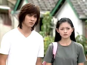 f4演的电视剧，流星花园f4成员名字（有人任由豪宅变废墟）