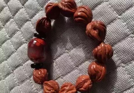 核桃树枝的药用功效与作用,核桃树枝都有哪些成分与功用(许多文玩人见过它却不认识它) 核桃树枝的药用功效与作用,核桃树枝都有哪些成分与功用(许多文玩人见过它却不认识它)