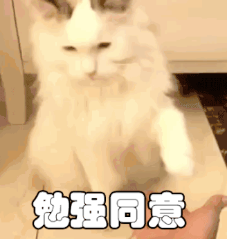 猫一天吃多少猫粮，成年猫一天吃多少猫粮（猫一顿饭要吃多少才够营养）