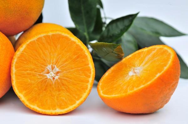 柑橘品种怎么分，柑橘品种（来看看你认识几个）