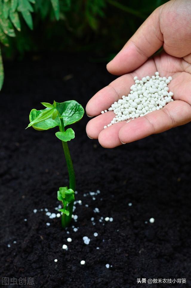 氮肥有哪些种类，氮肥有哪几种类型（尿素、碳铵、氯化铵、硝酸铵等如何正确挑选与使用）