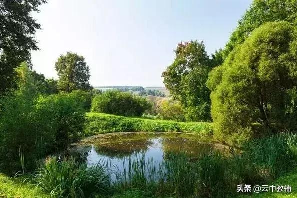 大肠杆菌菌落特征，大肠杆菌培养（一位高中生物老师分享对生物的理解）