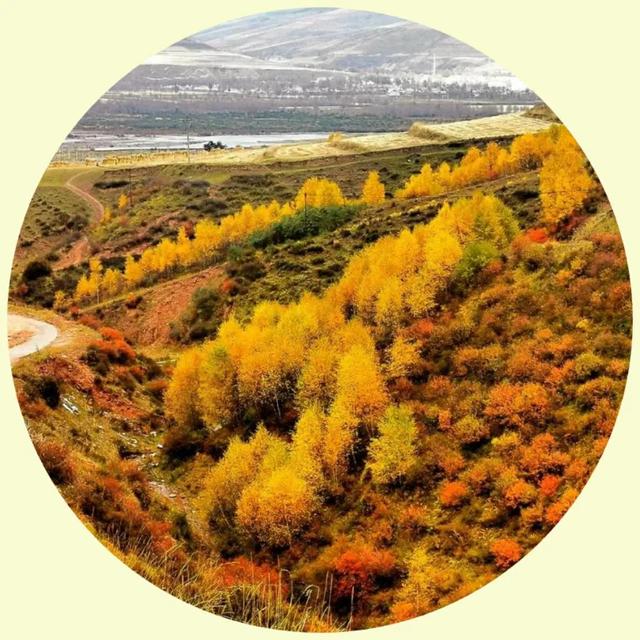 风景照片图片大全，微信头像，风景照片图片大全（令人心旷神怡的美景）