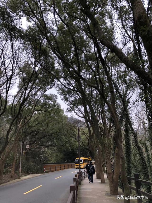 去普陀山旅游攻略，普陀山旅游攻略（给大家做一个普陀山旅游的省钱攻略）