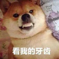 鸟类为什么没有牙齿，鸟类为什么没有牙齿的原因（这都是有科学依据的）