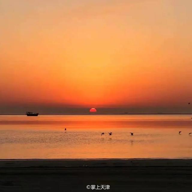 天津海边旅游景点排行榜，天津塘沽旅游景点大全（天津7处小众看海点，景色绝了）